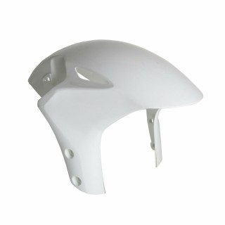 Honda CBR 1000 RR Fireblade 06-07 purvasaugis