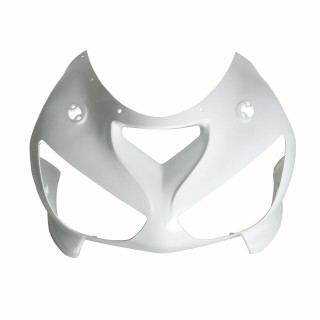Kawasaki ZX-10R Ninja 11-14 priekinis plastikas