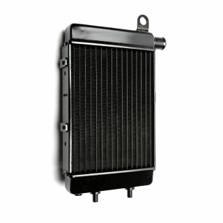 Yamaha FZS 1000 Fazer 2001-2005 Yamaha FZS 1000 Fazer 01-05 aušinimo radiatorius