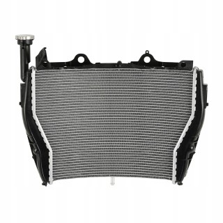 RADIATOR BMW S1000RR 2009-2019